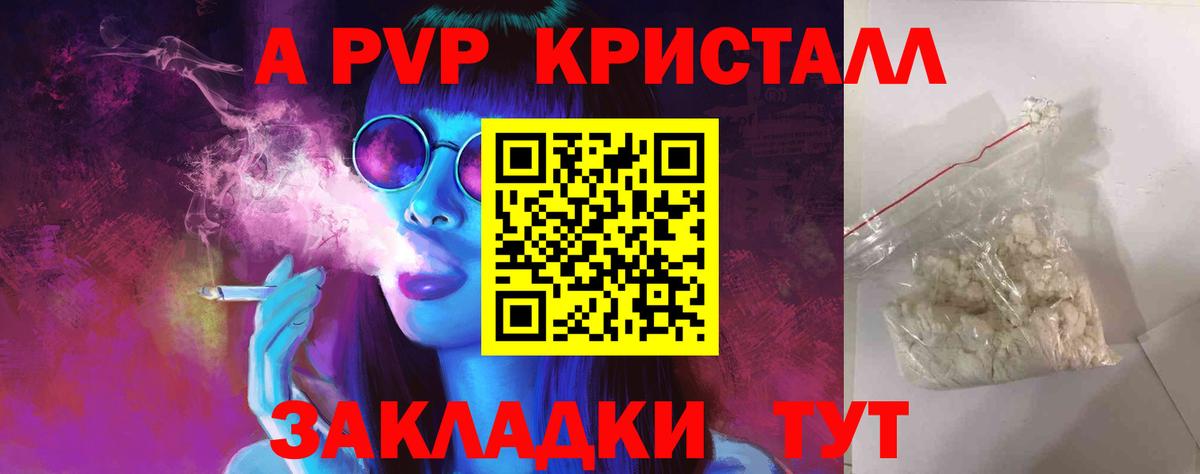 Alfa_PVP СК Горно-Алтайск