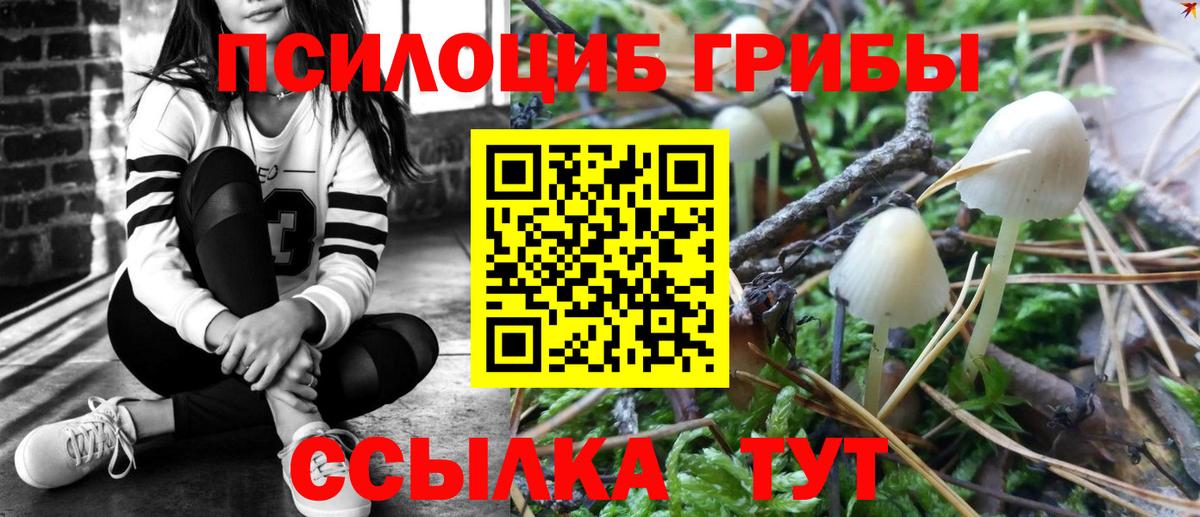 Псилоцибиновые грибы GOLDEN TEACHER  Вход с VPN  Псилоцибиновые грибы Psilocybine cubensis  Горно-Алтайск 